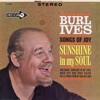 Sunshine In My Soul: Songs Of Joy