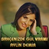 Bahçenizde Gül Var Mı - Single