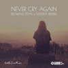 Never Cry Again (Rowald Steyn & Gustixa Remix) - Single