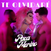 Te olvidaré artwork