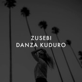 Danza Kuduro artwork