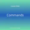 Commands - Single album lyrics, reviews, download