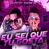 Eu Sei Que Tu Gosta - Single