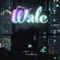 Wale - Teedezy lyrics