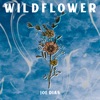 Wildflower - Single