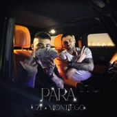 PARA artwork