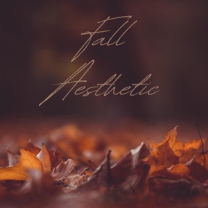 Fall Aesthetic