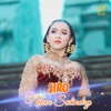 Siro - Single