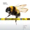 Hummel: Piano Sonata No. 5, Cello Sonata & Flute Trio album lyrics, reviews, download