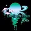 Dolphins (ReeLay Remix) - Single album lyrics, reviews, download