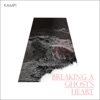 Breaking a Ghost's Heart - Single