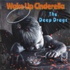 Wake up Cinderella - Single