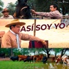 Así Soy Yo - Single