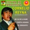 Por el Amor a Mi Madre - Cornelio Reyna & Los Relámpagos del Norte lyrics