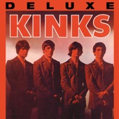 The Kinks - You Really Got Me