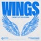 Wings (I Won't Let You Down) artwork