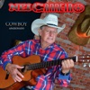 Cowboy Apaixonado