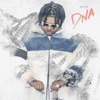 DNA - Single