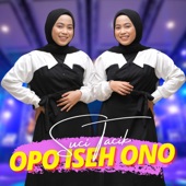 Opo Iseh Ono artwork