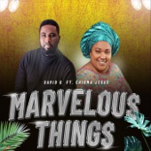 Marvelous Things (feat. Chioma Jesus) artwork