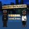 ionnowhatchutalkinbout (feat. King Fiya) - Vandal lyrics