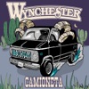 Camioneta - Single