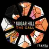 The Call (Extended Mix) - Single album lyrics, reviews, download