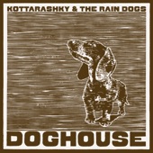 Kottarashky & The Rain Dogs - Moma