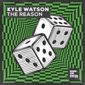 The Reason (Extended Mix) artwork