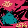 The Wonder Stuff - Who Wants to Be the Disco King? (Live)