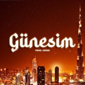 Güneşim artwork