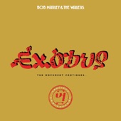 Bob Marley & The Wailers - Turn Your Lights Down Low - Exodus 40 Mix