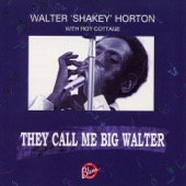They Call Me Big Walter (with Hot Cottage) artwork
