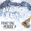 Avalanche Warning (Remix) (feat. Percee P) - Single