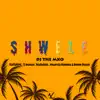 Stream & download Shwele (feat. Tj Mengus, ReaDaSoul, Nkanyezi Kubheka & Brown Deluxe) - Single