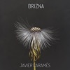 Brizna - Single