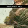 Wind Ringtones - Healing Power of Nature Sounds for Sleep and Relaxation, Storm Music album lyrics, reviews, download