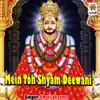 Mein Toh Shyam Deewani - Single album lyrics, reviews, download