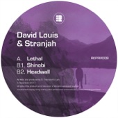 David Louis & Stranjah - Shinobi