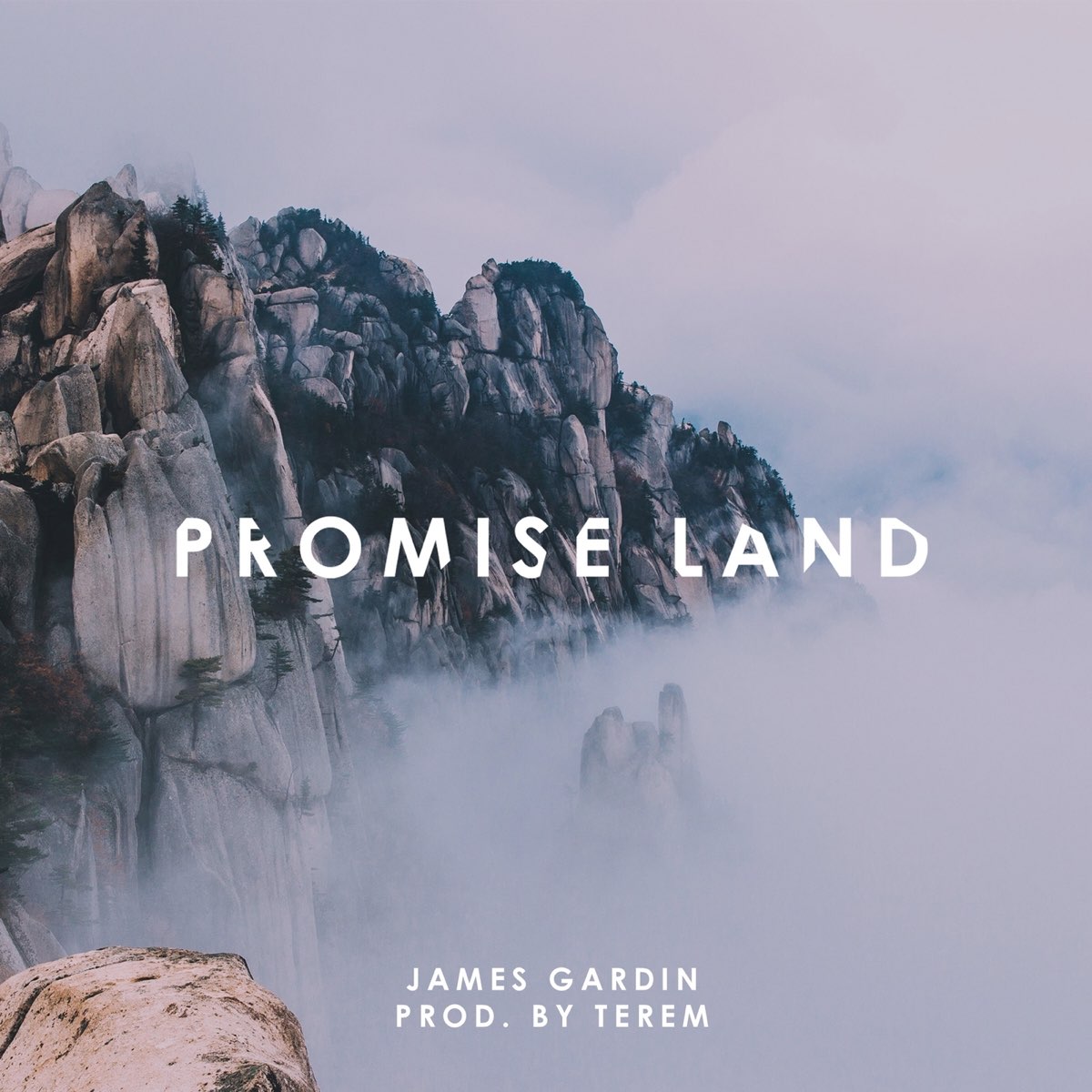 Single land. Promise Land. Giant Promise Land 2010. Giant - Promise Land (2010) CD Cover. Promise Land - loving you.