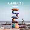 Harmonize, 2017