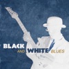 Black and White Blues: Roots of Classical Acoustic Music, Deep Bass, Retro American Bar Music
