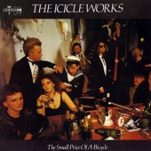 The Icicle Works - Conscience of Kings