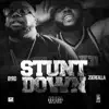 Stunt Down (feat. Zoerealla) - Single album lyrics, reviews, download