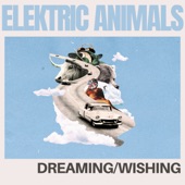 Elektric Animals - Dreaming/Wishing