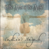 In the Arms of the Angel - Celtic Angels