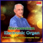 Palladam S. Venkataramana Rao - Ramabhirama (Instrumental)