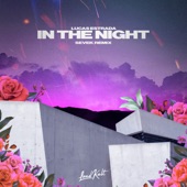 In the Night (Sevek Remix) artwork