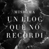 Un Lloc Que No Recordi - Single