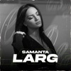 Larg - Single, 2014